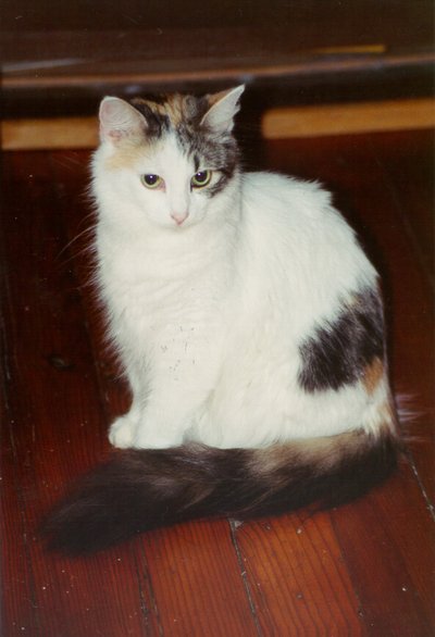 Princess Standing